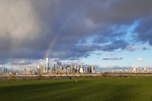 Skyline Day Tour Of NYC | Royal City Tours